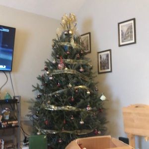 Meet your Posher, Melody